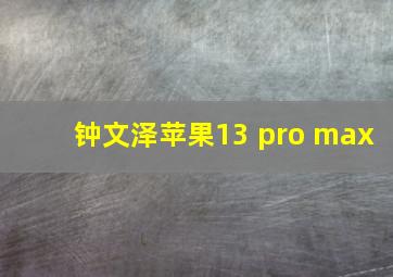 钟文泽苹果13 pro max